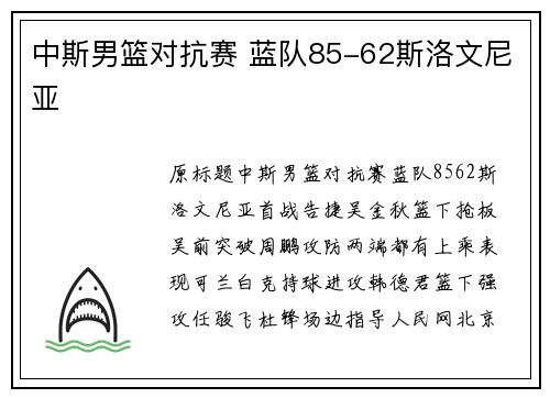 中斯男篮对抗赛 蓝队85-62斯洛文尼亚